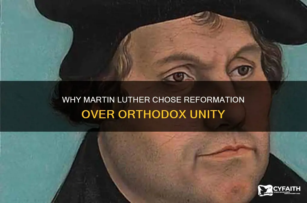 why didn