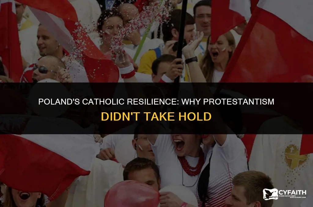why didnt poland become protestant