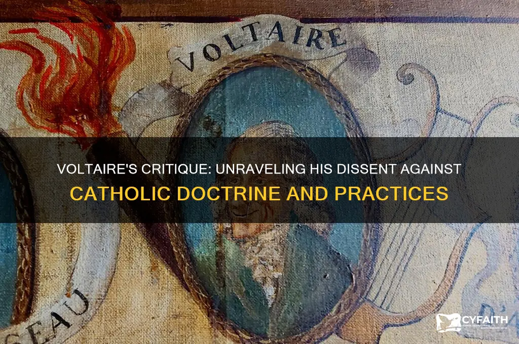 why didnt volataire like catholics