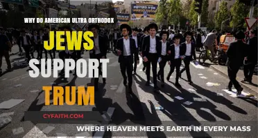 Why American Ultra-Orthodox Jews Back Trump: Exploring the Alliance
