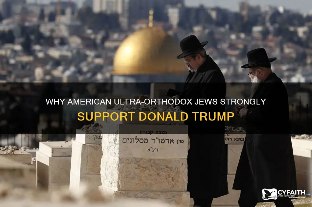 why do american ultra orthodox jews support trump