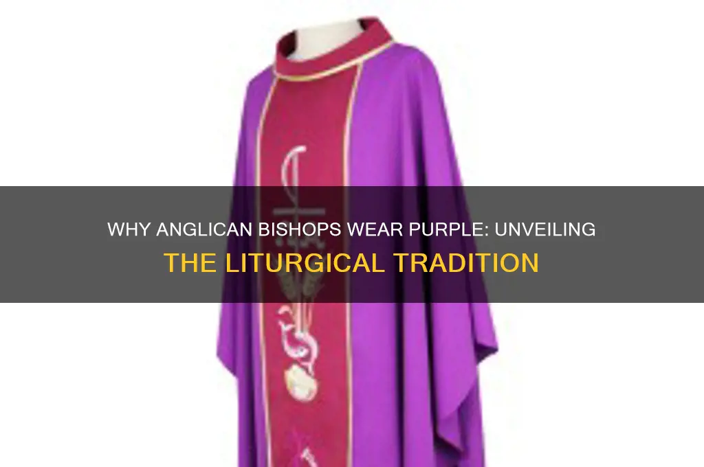 why do anglican bishops wear purple