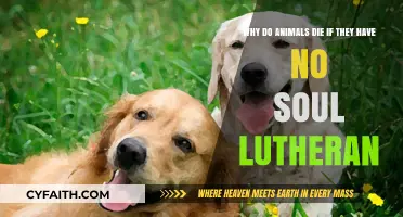 Exploring the Lutheran Perspective on Animal Souls and Mortality