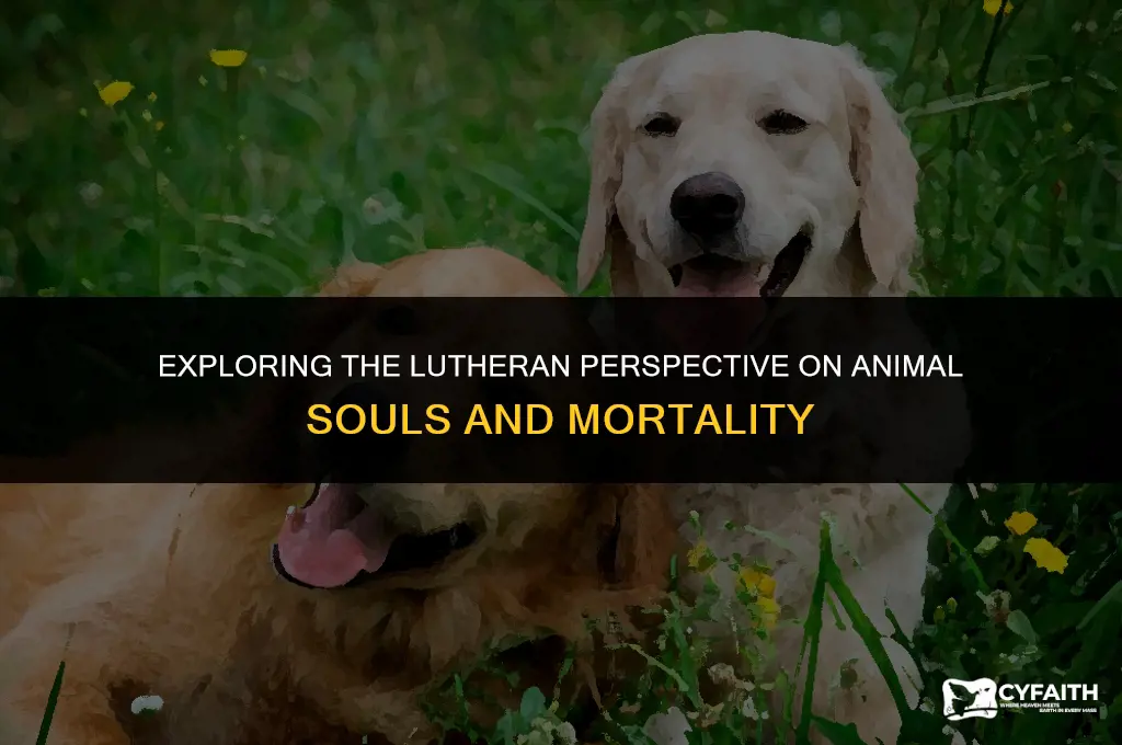 why do animals die if they have no soul lutheran