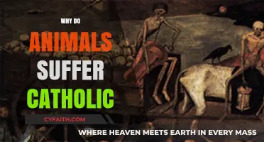Catholic Perspectives on Animal Suffering: Exploring Faith and Compassion