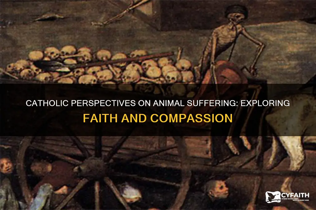 why do animals suffer catholic