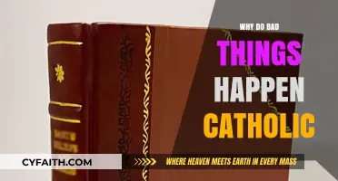 Why Do Bad Things Happen? A Catholic Perspective on Suffering