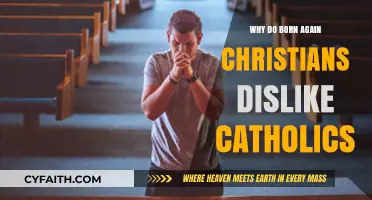 Born Again vs. Catholic: Understanding the Historical and Theological Divide