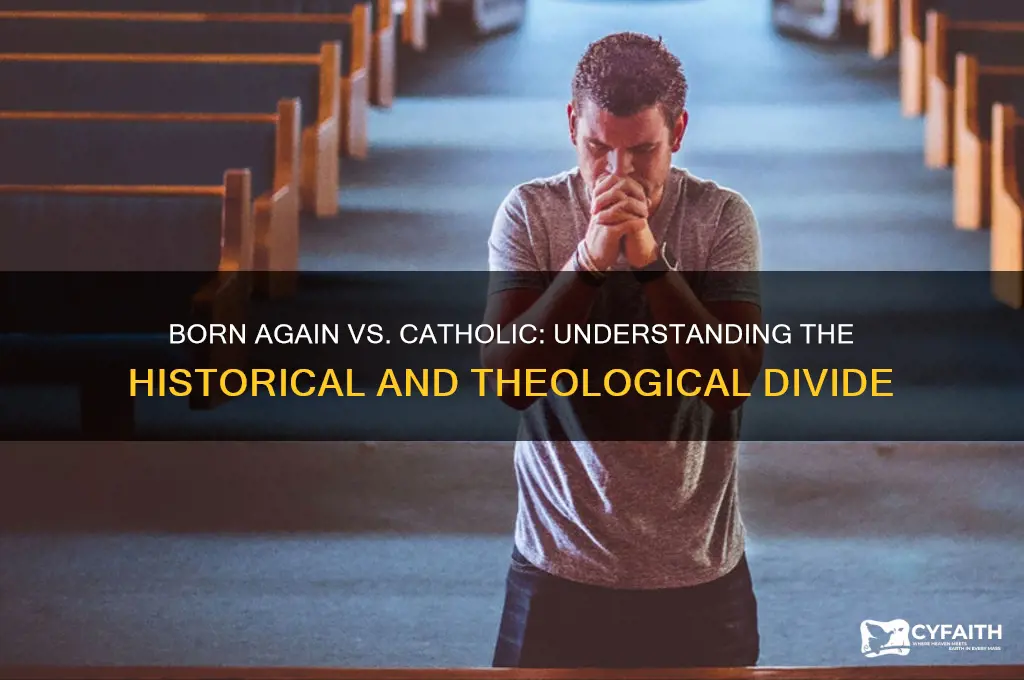 why do born again christians dislike catholics