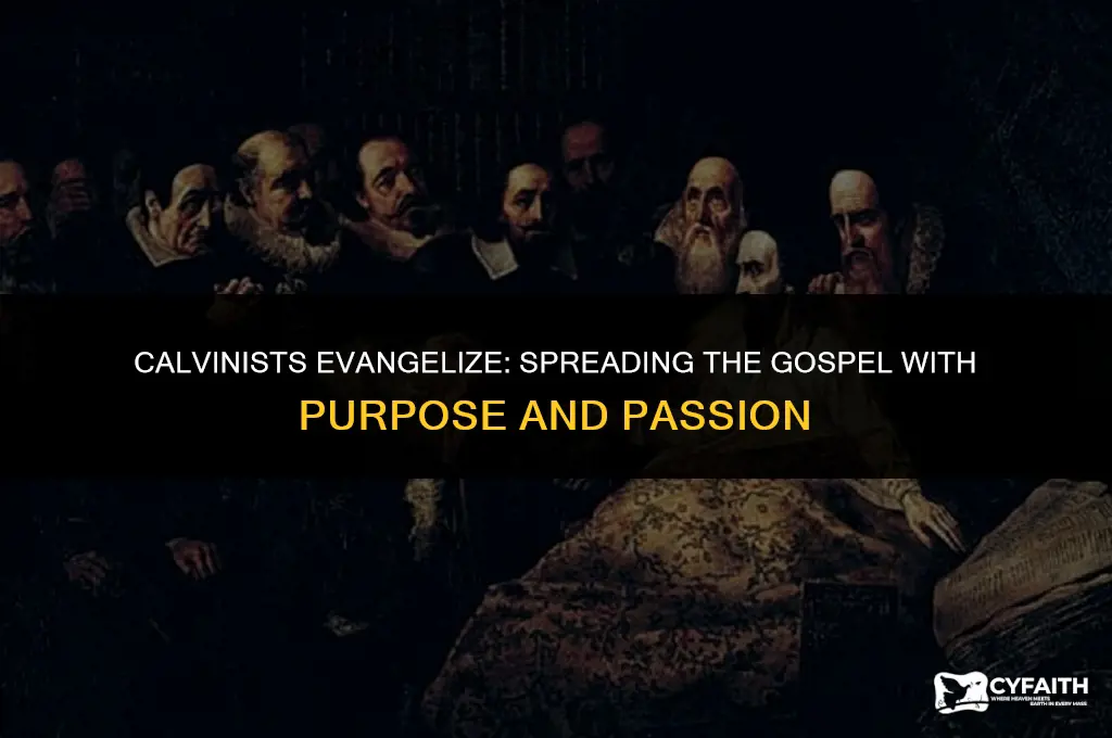 why do calvinists evangelize