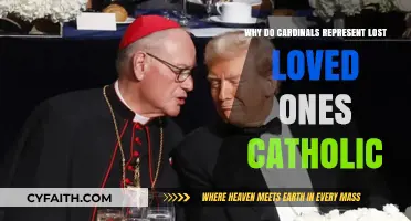 Cardinals as Messengers: Catholic Beliefs About Lost Loved Ones