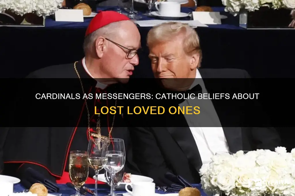 why do cardinals represent lost loved ones catholic