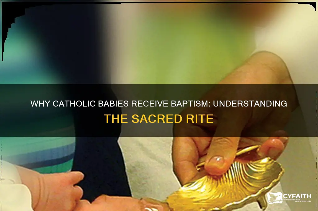 why do catholic babies get baptised