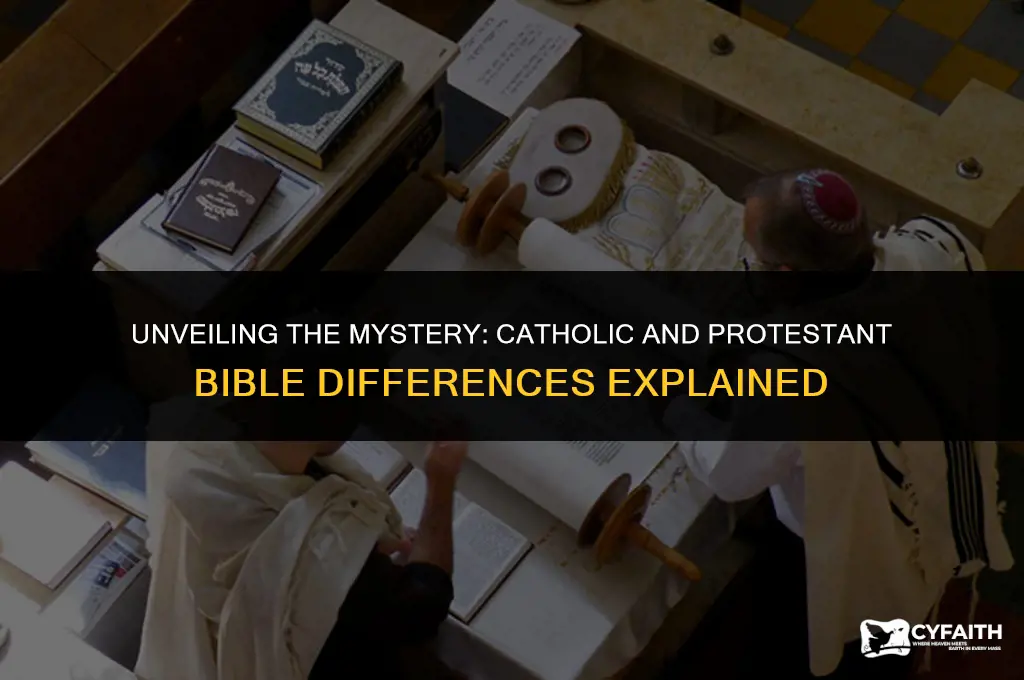 why do catholic bibles have 7 more books than protestant