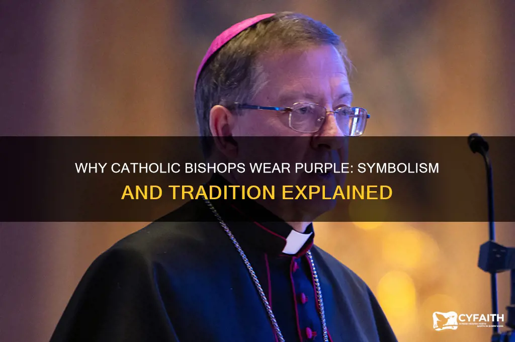 why do catholic bishops wear purple