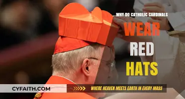 Why Catholic Cardinals Wear Red Hats: Symbolism and Tradition Explained