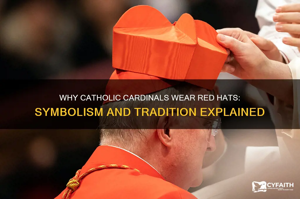 why do catholic cardinals wear red hats