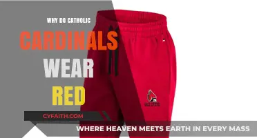 The Symbolic Meaning of Cardinal Red