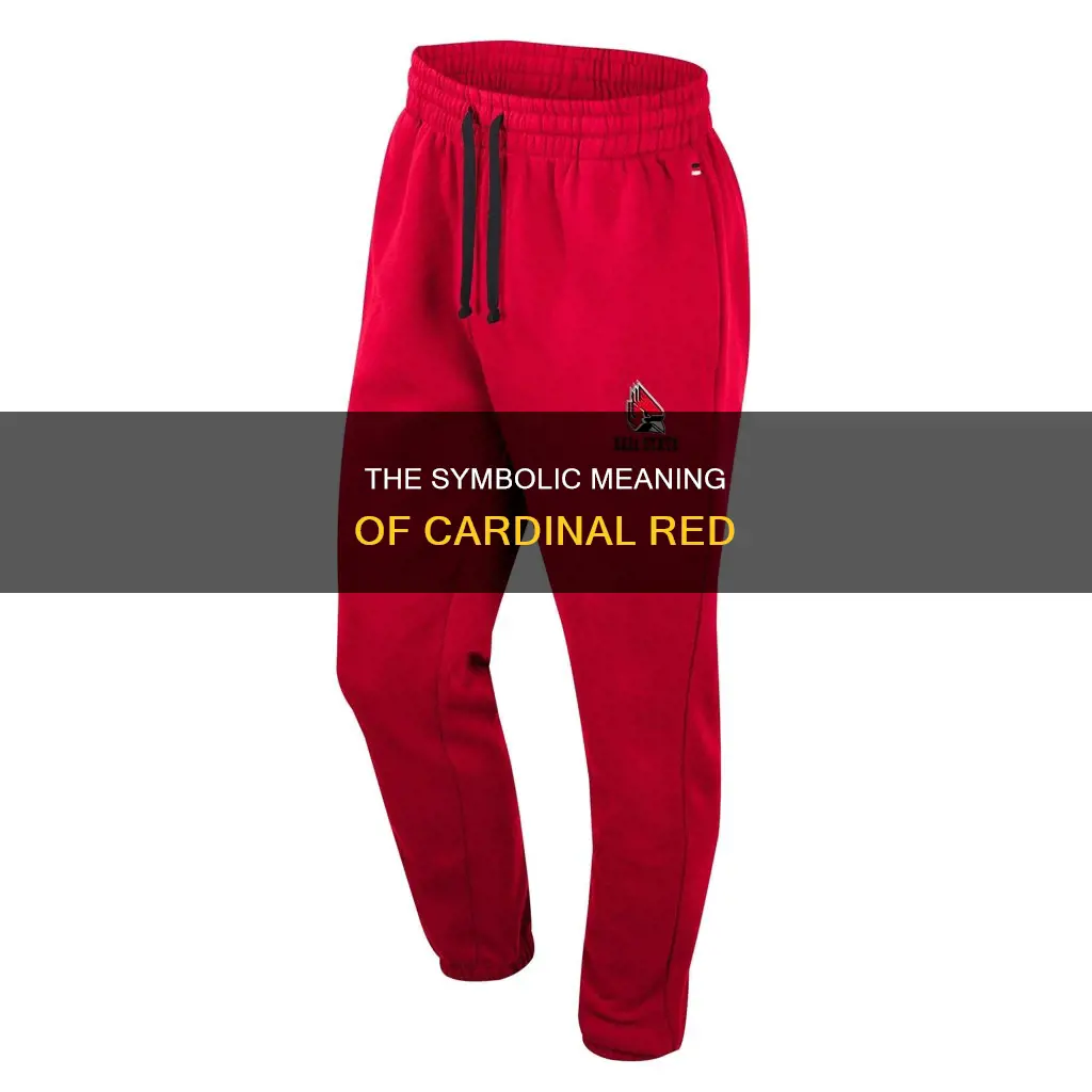 why do catholic cardinals wear red