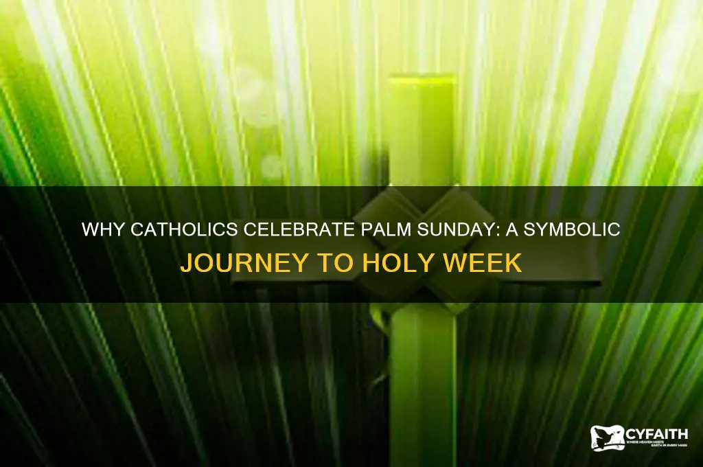 why do catholic celebrate palm sunday