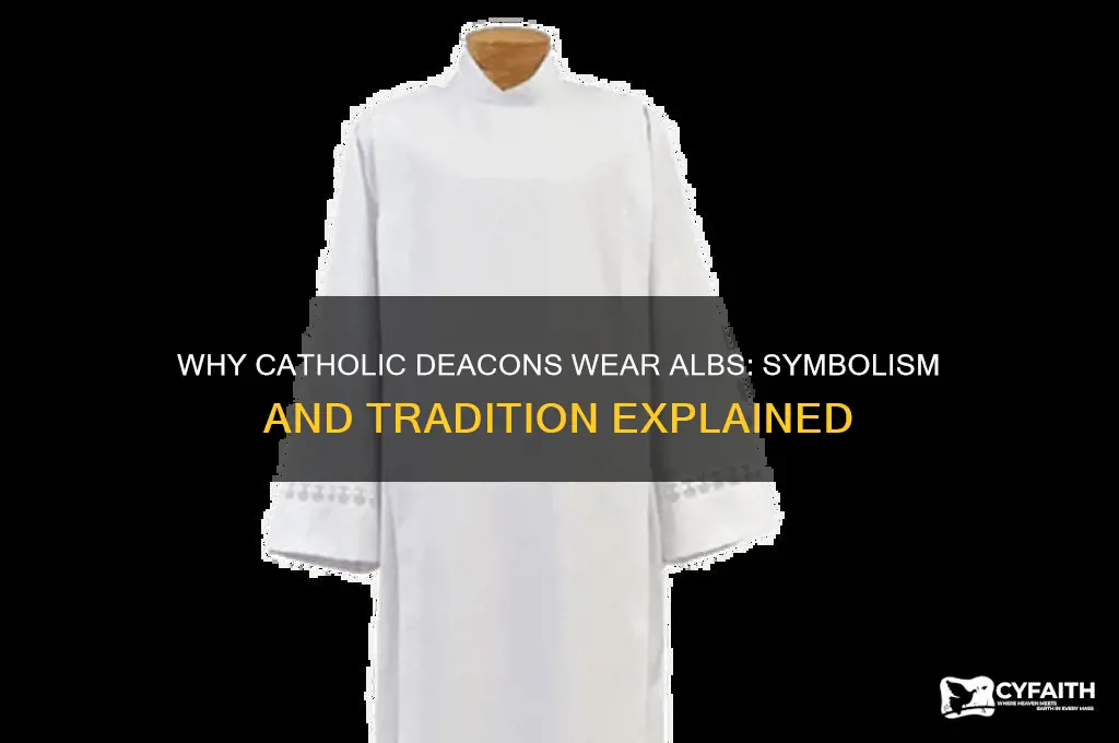 why do catholic deacons wear albs