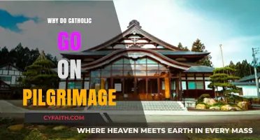 Why Catholics Embark on Pilgrimages: A Spiritual Journey Explained