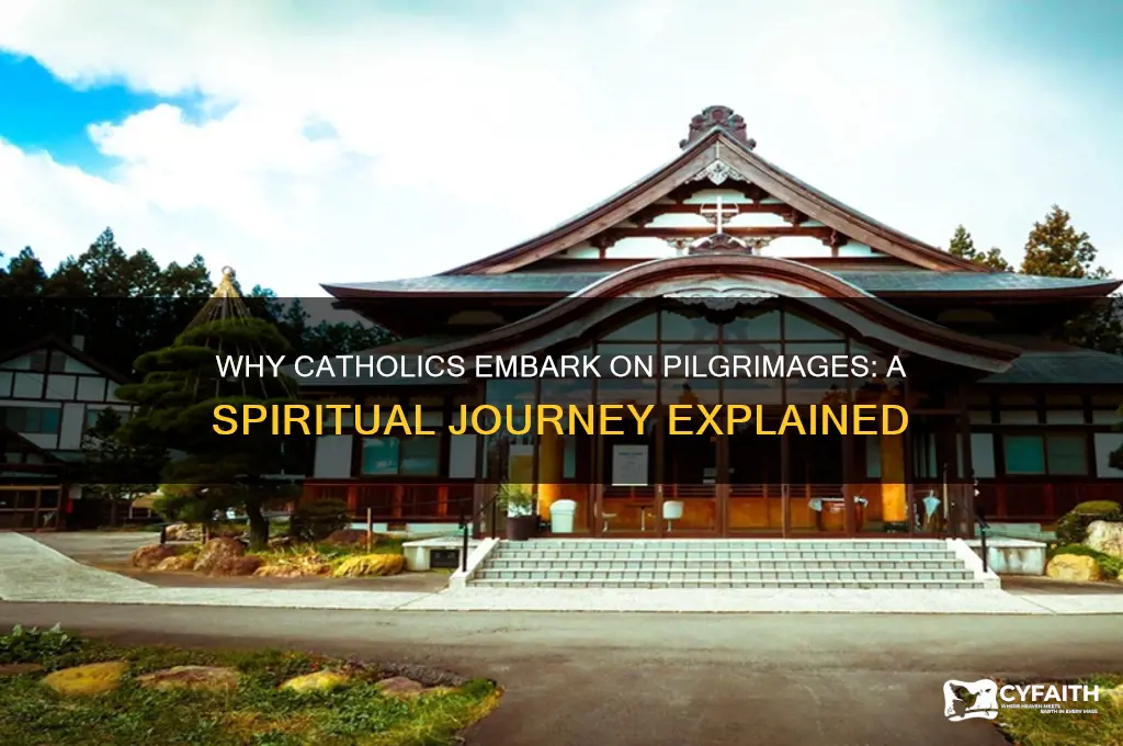 why do catholic go on pilgrimage