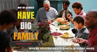 Why Catholic Families Tend to Be Larger: Exploring Cultural and Religious Influences