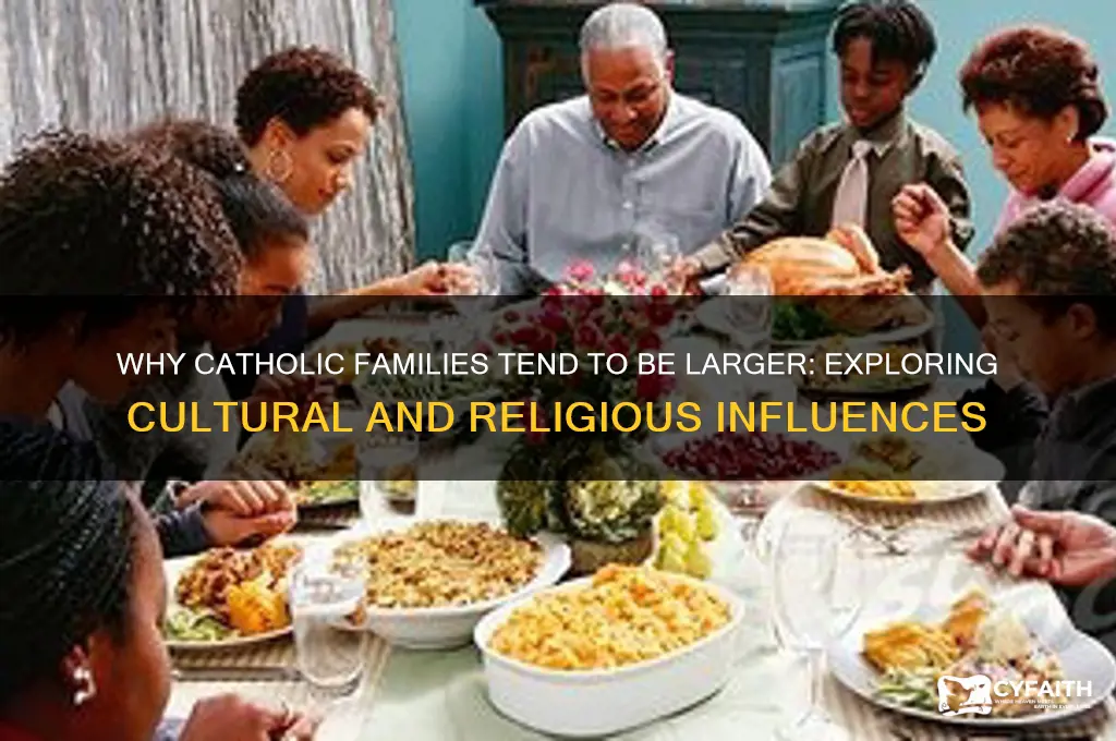 why do catholic have big family