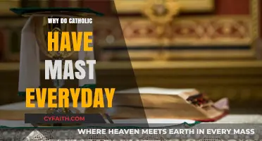 Daily Mass in Catholicism: Exploring the Tradition and Its Significance