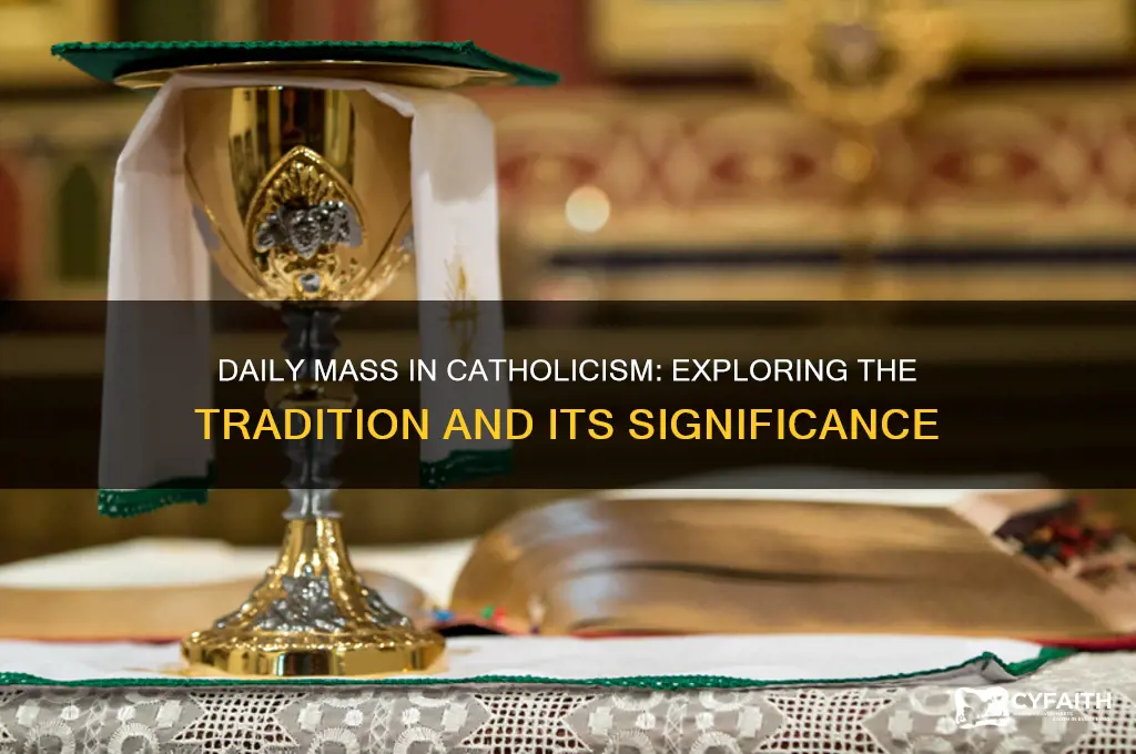 why do catholic have mast everyday