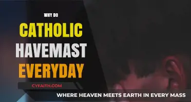 Daily Catholic Masturbation: Exploring the Misconception and Its Origins