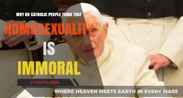 Understanding Catholic Teachings: Homosexuality and Moral Beliefs Explored