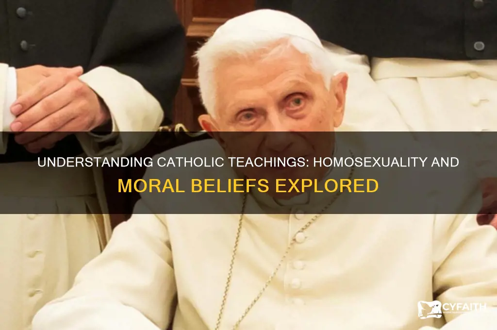 why do catholic people think that homosexuality is immoral