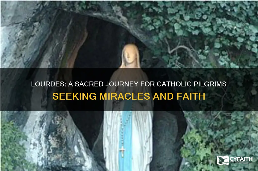 why do catholic pilgrims go to lourdes