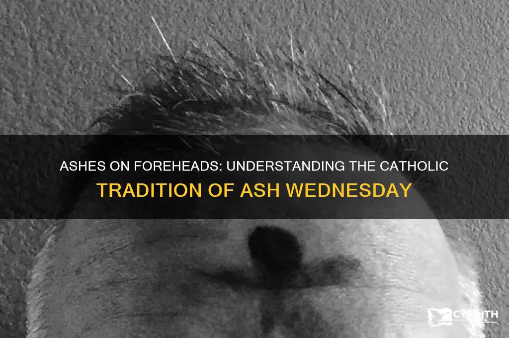 why do catholic put ashes on their forehead