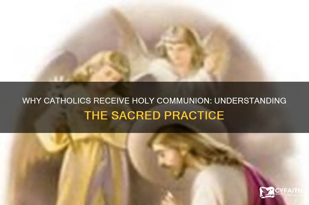 why do catholic receive holy communion
