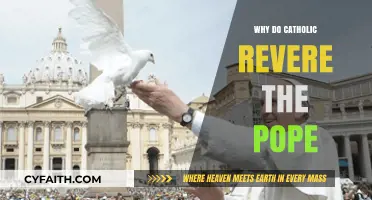 Why Catholics Revere the Pope: Faith, Tradition, and Spiritual Leadership