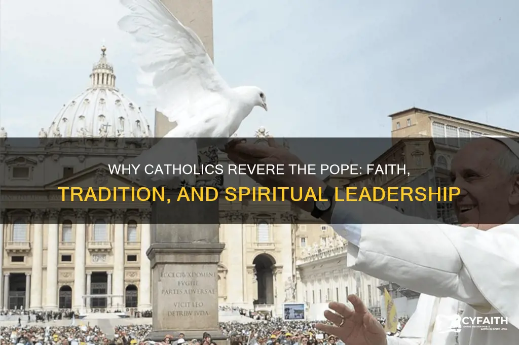 why do catholic revere the pope