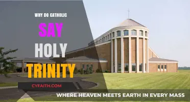 Understanding the Catholic Devotion to the Holy Trinity: A Sacred Mystery