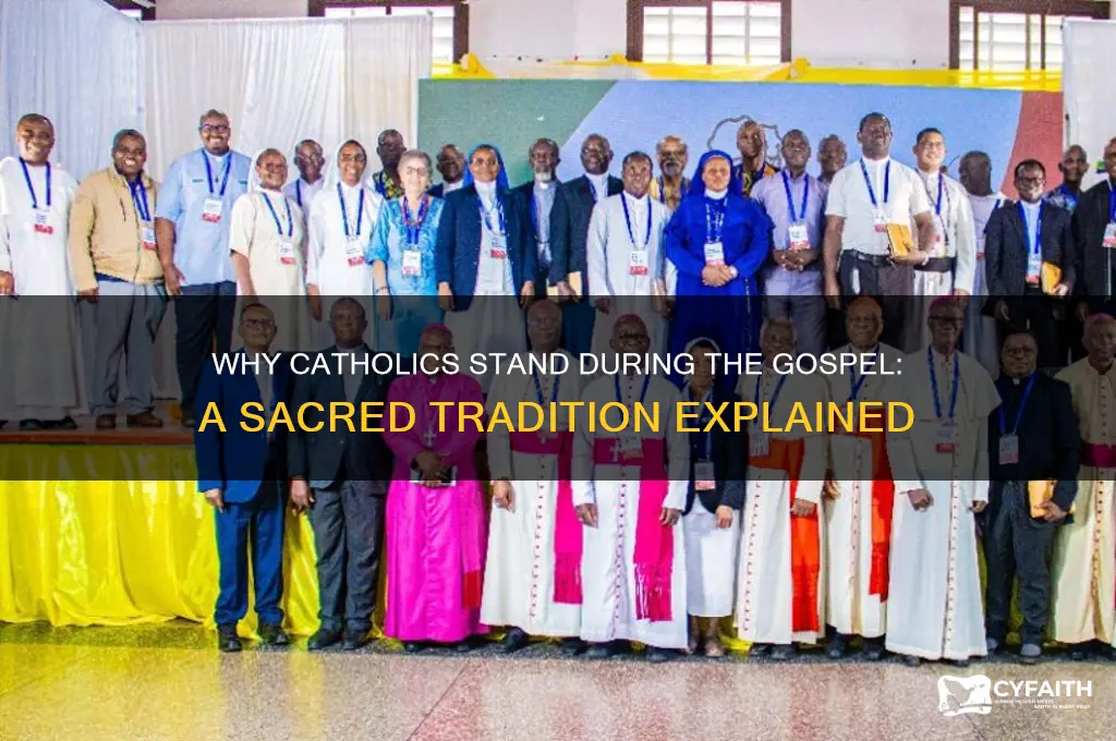 why do catholic stand during the gospel