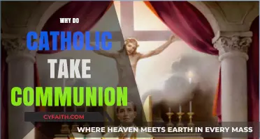 Understanding the Sacred Practice: Why Catholics Receive Holy Communion