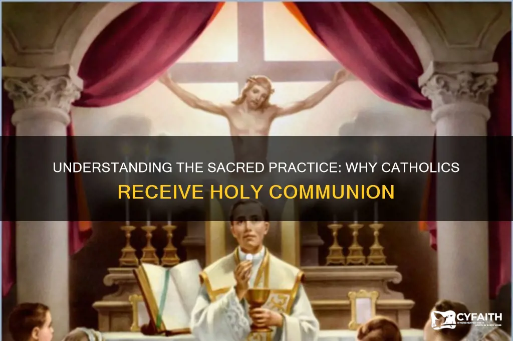 why do catholic take communion