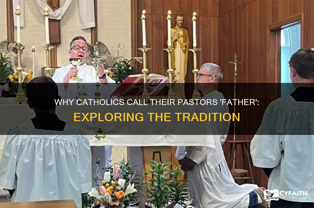 why do catholic use the word father for their pastors