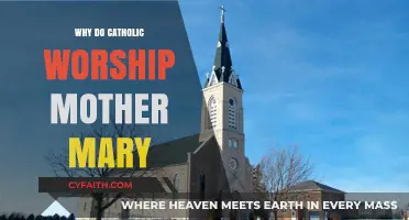 Why Catholics Honor Mary: Understanding Her Role in Faith