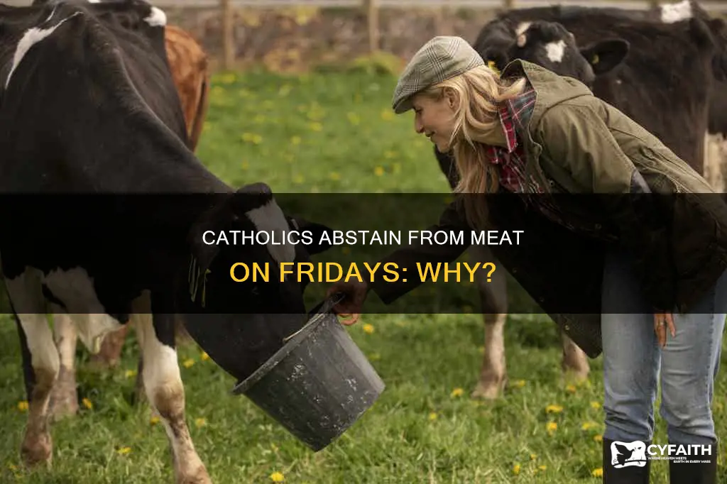 why do catholics abstain from meat on fridays