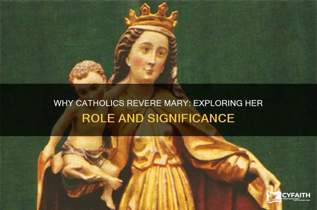 why do catholics admire mary
