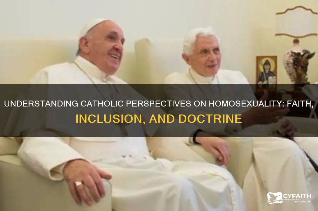 why do catholics allow homosexuality