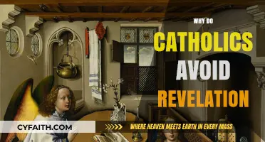 Why Catholics Approach the Book of Revelation with Caution and Care