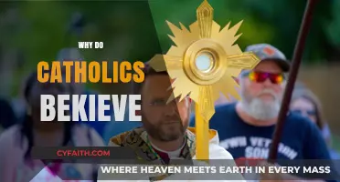 Why Catholics Believe: Exploring Faith, Tradition, and Divine Teachings
